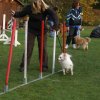 agility 2011-10-30